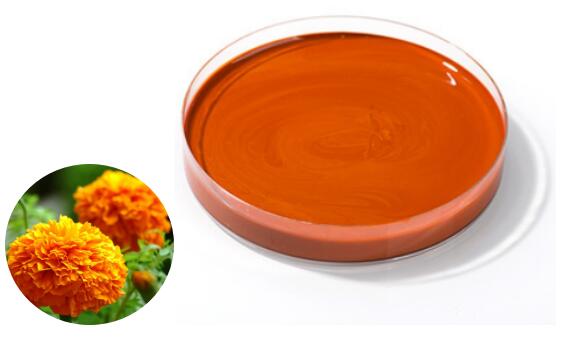 Lutein Oil