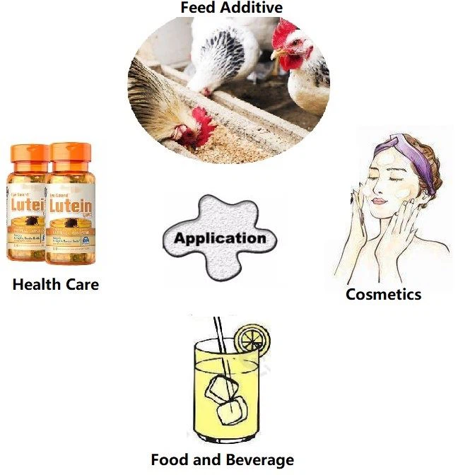 Zeaxanthin powder applications