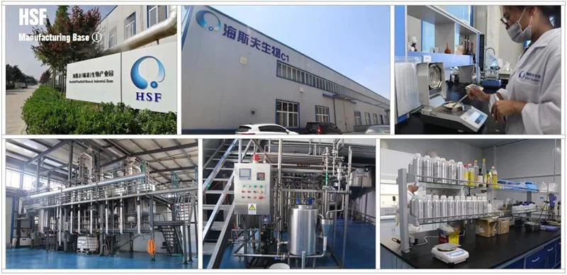 HSF Manufacturing Base-1 HSF Manufacturing Base-1