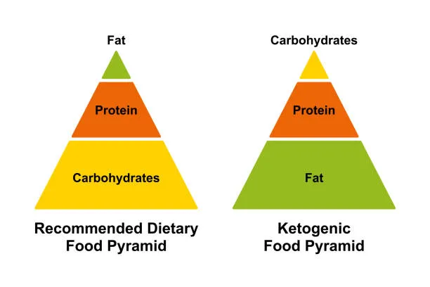 Food Pyramid Food Pyramid