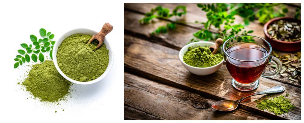 green tea extract green tea extract