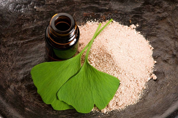 Fermented Ginkgo Biloba Powder Fermented Ginkgo Biloba Powder