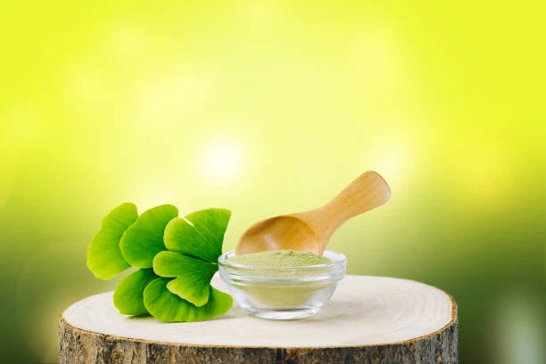 Fermented Ginkgo Biloba Powder Fermented Ginkgo Biloba Powder