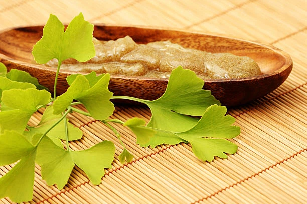 Ginkgo biloba Ginkgo biloba