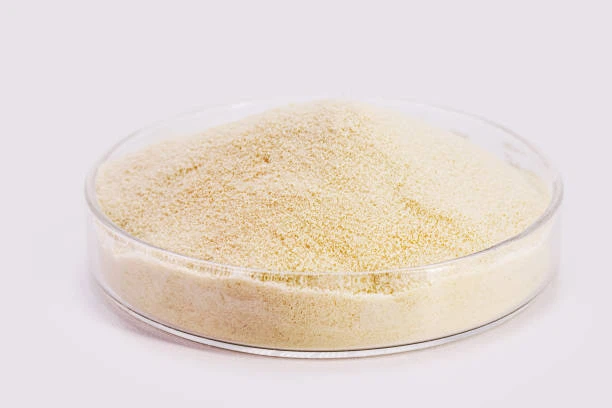 L-Carnitine Pure Powder