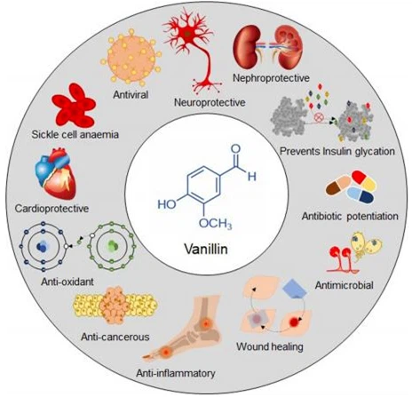 info-464-447 info-464-447