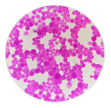 product-362-354 product-362-354