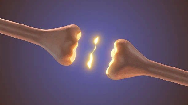 product-612-344 product-612-344