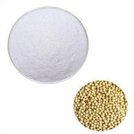 Beta Sitosterol Tozu