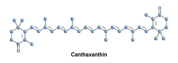 Kantaksantin'in Bilmeniz Gereken 3 Faydası